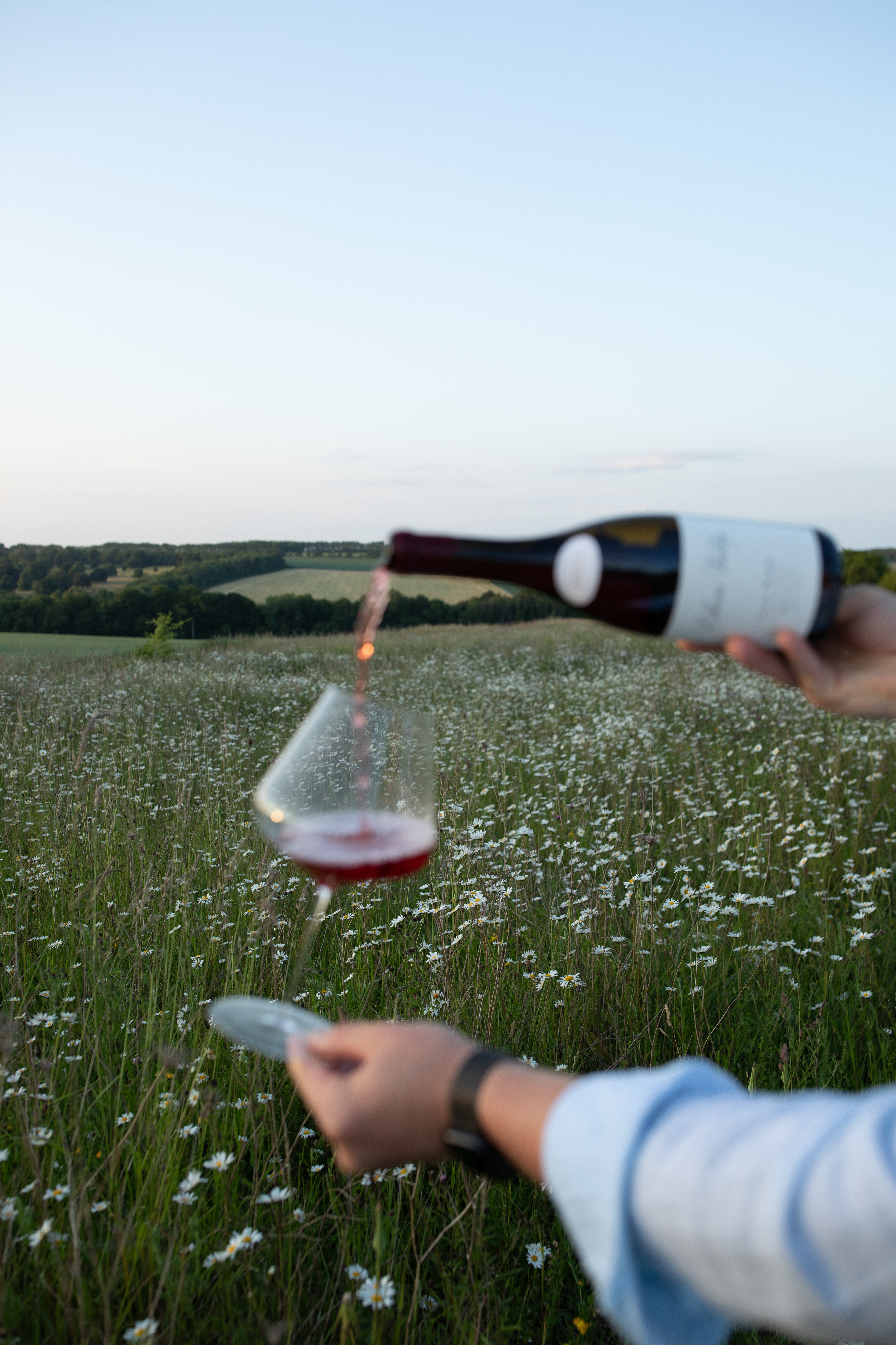 Wine maker portrait