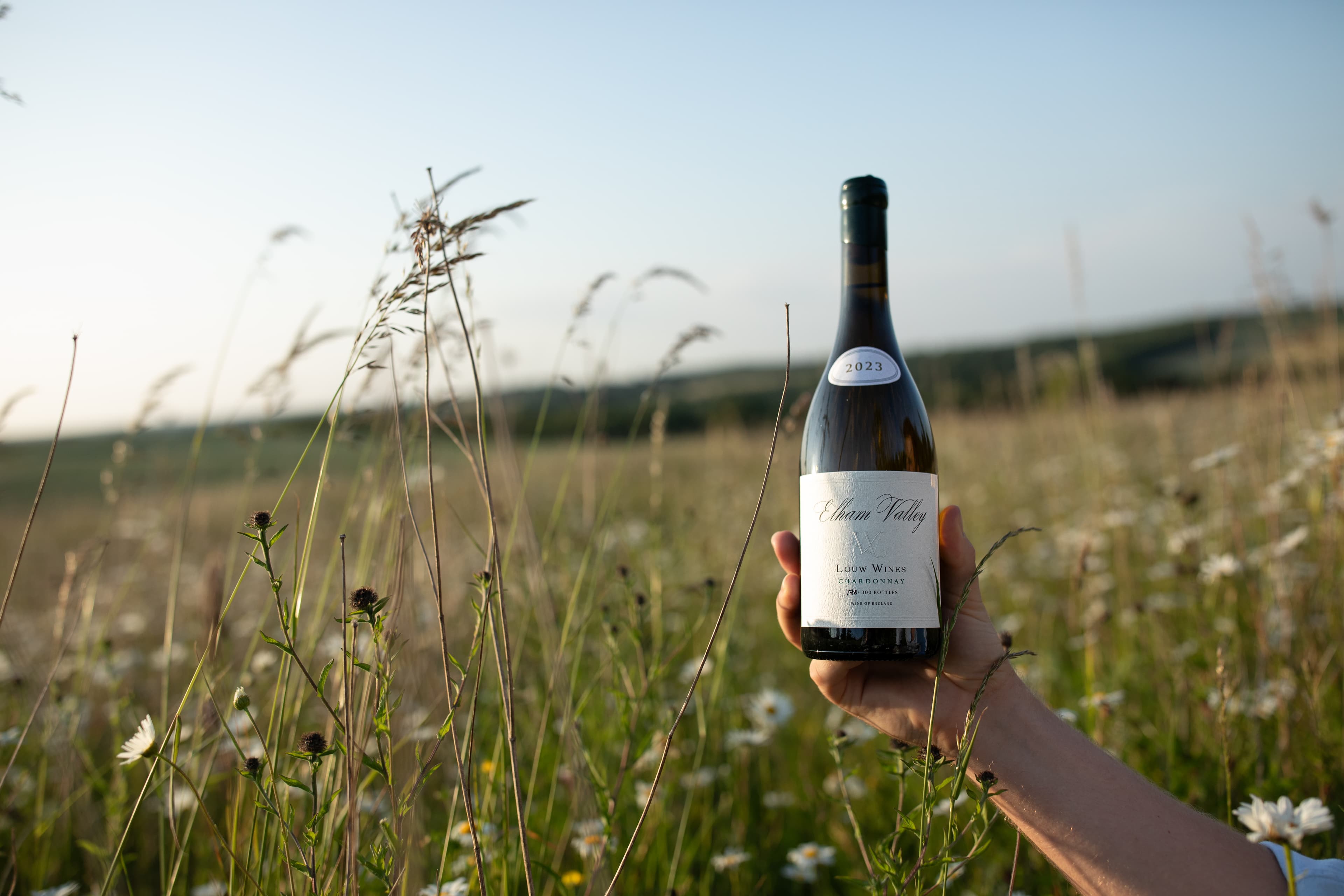 Next wine
