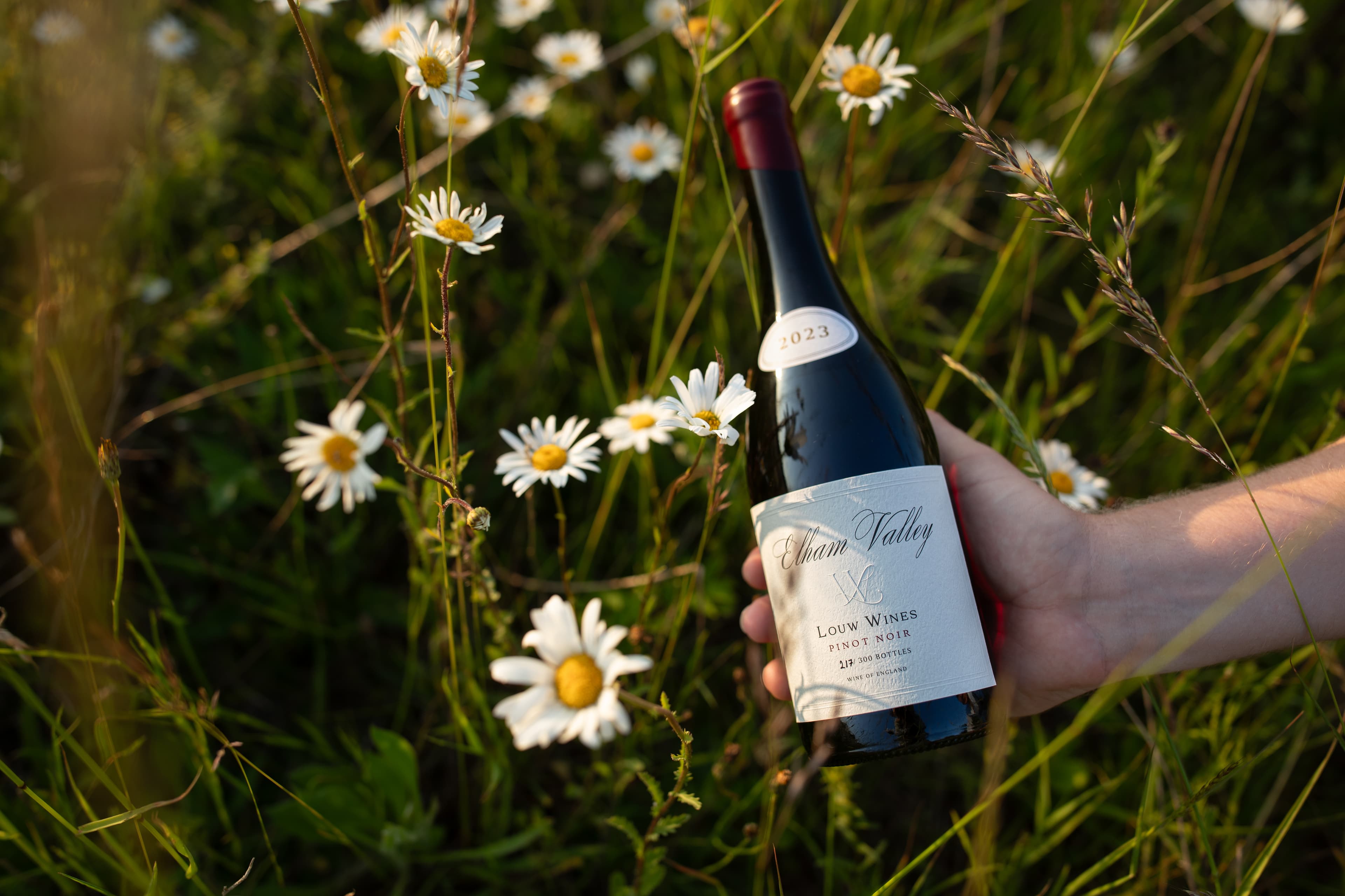 Previous wine